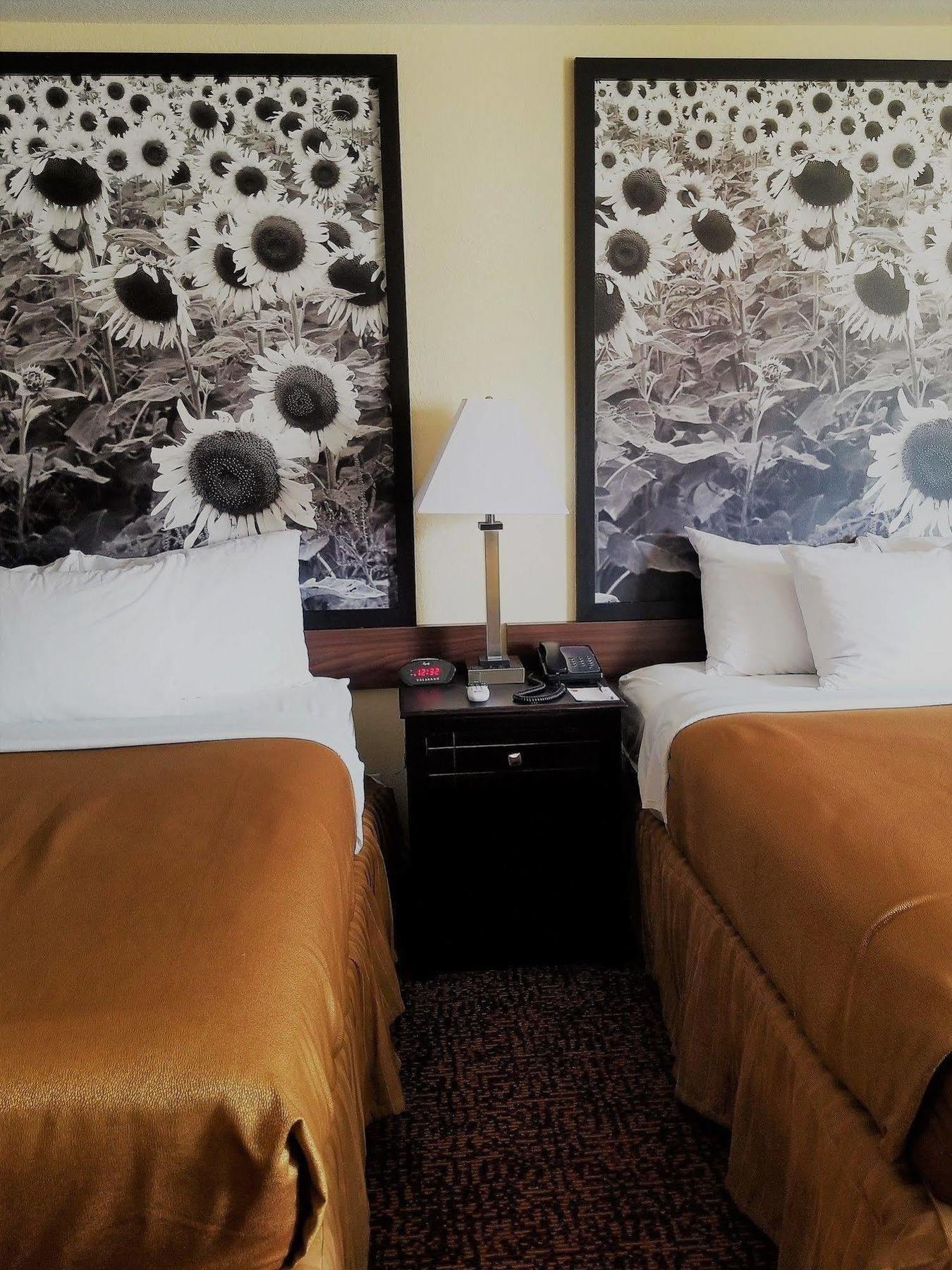Super 8 By Wyndham Des Moines Hotel Eksteriør billede